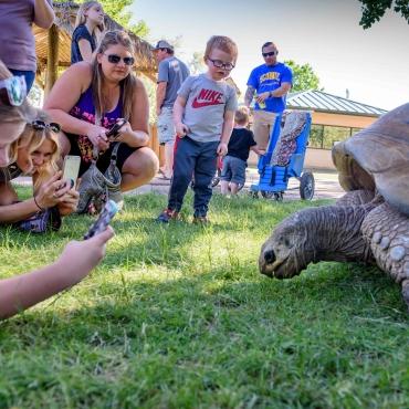 A woman gets a picture of an ancient tortoise at Reptile Gardens, a popular family attraction in Rapid City, South Dakota