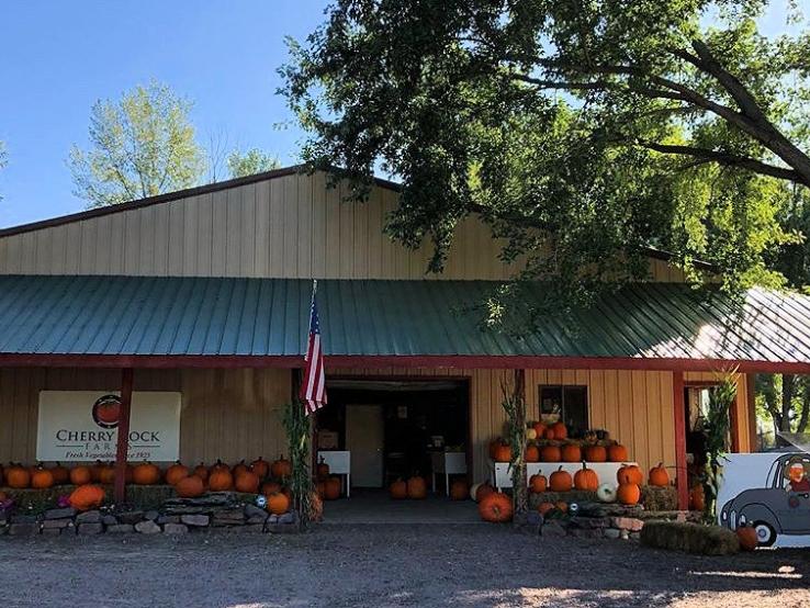 Cherry Rock Farms, Brandon