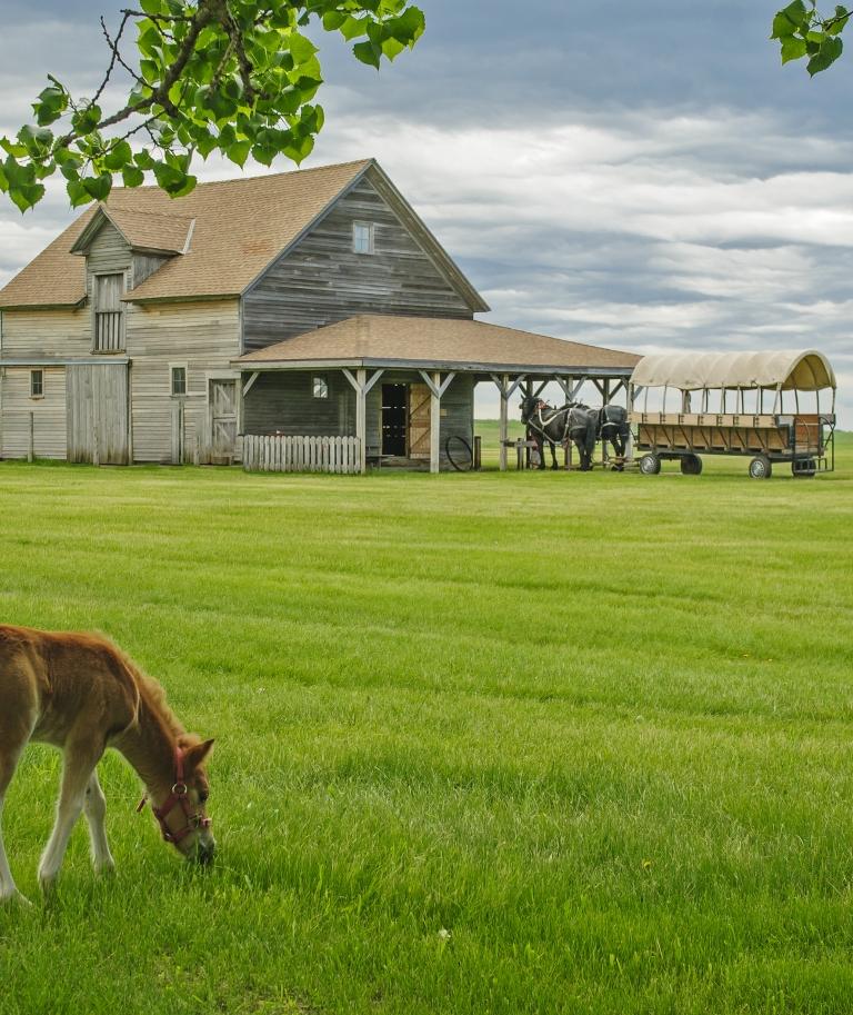 Ingalls Homestead
