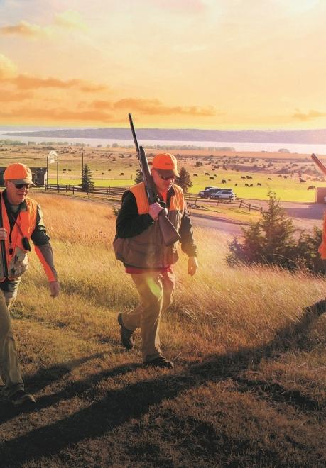 pheasants forever